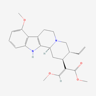 greenly cz - Paynantheine Greenly.cz